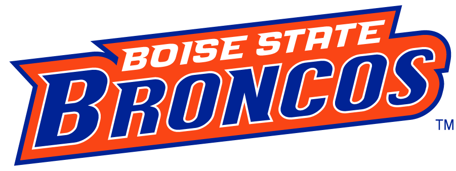 Boise State Broncos 2002-2012 Wordmark Logo v6 DIY iron on transfer (heat transfer)
